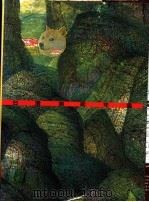 台湾美术年鉴 1995 年度总览 1995 PDF电子版封面 9578980272 雄狮台湾美术年鉴编辑委员会编著