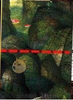 台湾美术年鉴  1995  美术资讯（1995 PDF版）
