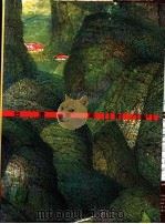 台湾美术年鉴  1995  美术统计（1995 PDF版）