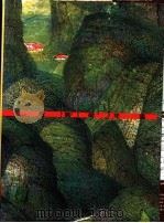 台湾美术年鉴 1995 索引 1995 PDF电子版封面 9578980272 雄狮台湾美术年鉴编辑委员会编著