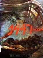 台湾美术年鉴  1997  美术资讯（1996 PDF版）