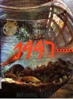 台湾美术年鉴  1997  美术市场（1996 PDF版）