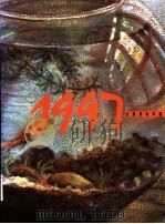 台湾美术年鉴  1997  美术统计（1996 PDF版）