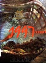 台湾美术年鉴  1997  索引（1996 PDF版）