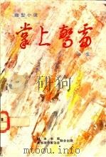 掌上惊雷 1988 PDF电子版封面 9971520737 洪生著