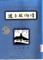 游子故乡情 1998 PDF电子版封面 许文权著