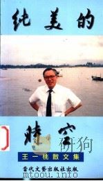 纯美的时空 1999 PDF电子版封面 9622781683 王一桃著