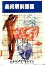 美术解剖图鉴 1987 PDF电子版封面 视觉设计研究所主编