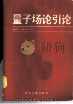 量子场论引论 1989 PDF电子版封面 7561401310 程国均,杨守智编译