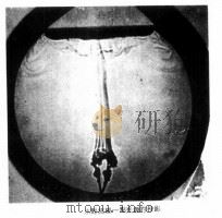 科学图书大库 物理实验大全 上 力学 热学 1970 PDF电子版封面 方声恒,刘燕溪,张镜清译