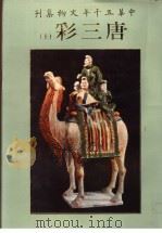 中华五千年文物集刊 唐三彩 上 1984 PDF电子版封面 童依华主编