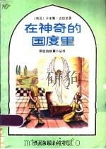 在神奇的国度里 1986 PDF电子版封面 10355·555 (埃及)卡米勒·古拉尼著;陶庆军编;王瑞琴译