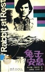 兔子安息 1993 PDF电子版封面 7536621809 (美)厄普代克著;袁凤珠,王约西译
