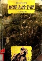 原野上的羊群 1997 PDF电子版封面 7539911018 迟子建