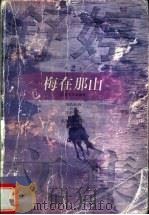 梅在那山 1997 PDF电子版封面 7539911247 舒婷