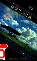 在珠江金三角 1990 PDF电子版封面 753661327X 碧野著