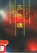 三色魂 1992 PDF电子版封面 7800533336 周嘉堤著