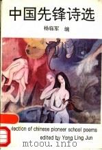 中国先锋诗选 1993 PDF电子版封面 7505909061 杨临军编