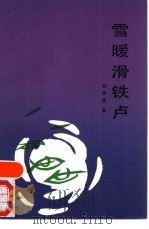雪暖滑铁卢 1988 PDF电子版封面 7533204972 刘学强著