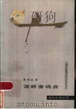 湖畔奏鸣曲 1986 PDF电子版封面 10208·234 (苏)埃泽拉(Ezera,R.)著;程文译