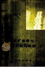 成矿溶液与石英脉的成因 1960 PDF电子版封面 15038·431 (苏)查哈尔钦科,А.И.著;张玉珍译