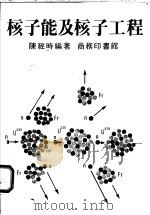 核子能及核子工程 1979 PDF电子版封面 陈经时编著