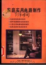 家庭实用电路制作 1991 PDF电子版封面 7504307467 李兴民编