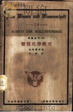 胶质化学概要 1930 PDF电子版封面 (日)大幸勇吉著;高铦译