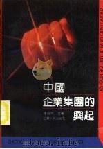 中国企业集团的兴起 1990 PDF电子版封面 7214006049 李富阁主编(江苏省社会科学院)