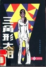 三角形太阳 1990 PDF电子版封面 753170160X 刘兆林著