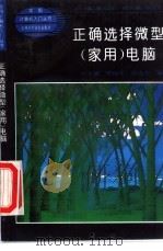 正确选择微型 家用 电脑 1994 PDF电子版封面 7538413839 吴宇德等编写