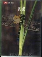 昆虫   1977  PDF电子版封面    彼得·法布，与时代-生活丛书编辑合著 