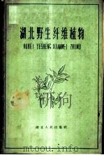 湖北野生纤维植物 1960 PDF电子版封面 T16106·242 中国科学院武汉植物园编