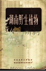 湖南野生植物 1958 PDF电子版封面 湖南省商业厅编著
