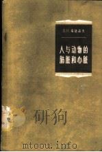 人与动物的肺脏和心脏 1958 PDF电子版封面 13031·576 (苏)瑞捷诺夫(В.Н.Жеденов)著;于频,杨占林译