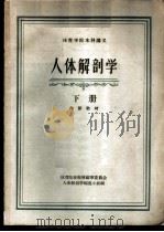 体育学院本科讲义 人体解剖学 （下册（ PDF版）
