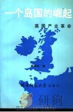 一个岛国的崛起 英国产业革命 1992.08 PDF电子版封面 7562106959 陈紫华著