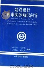 建设银行内审实务知识问答 1993 PDF电子版封面 7505201492 张大贵等主编