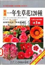 台湾花卉实用图鉴  第1辑  一年生草花120种   1998  PDF电子版封面  957970208X  薛聪贤编著 