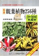 台湾花卉实用图鉴 第4辑 观叶植物256种 1998 PDF电子版封面 957970211X 薛聪贤编著