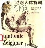 动态人体解剖 1990 PDF电子版封面 7805820376 (德)约·谢培德著;许震民译