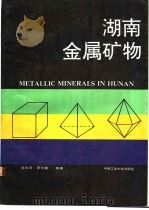 湖南金属矿物 1992 PDF电子版封面 7810204882 姜胜章,罗仕徽等著
