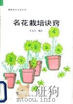 名花栽培诀窍 1990 PDF电子版封面 7503202912 朱秀珍编著