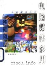 独领风骚 电脑媒体多用 1996 PDF电子版封面 7800402630 弘扬主编