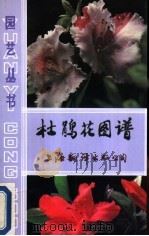 杜鹃花图谱 1991 PDF电子版封面 7805142440 王守中编著