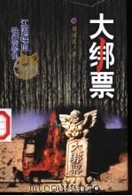 大绑票 1999 PDF电子版封面 7805575746 刘国民著