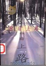 独自上路   1998  PDF电子版封面  7506313987  孙美玉著 