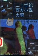 二十世纪西方小说大观 下 1989 PDF电子版封面 7206003656 刘文刚等编著
