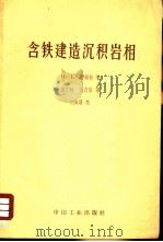 含铁建造沉积岩相 1962 PDF电子版封面 15165·1402(地质145) 詹姆斯,H.L.著;钟亦晓,洪友崇译