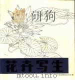 花卉写生 1987 PDF电子版封面 7805030014 王有宗编绘